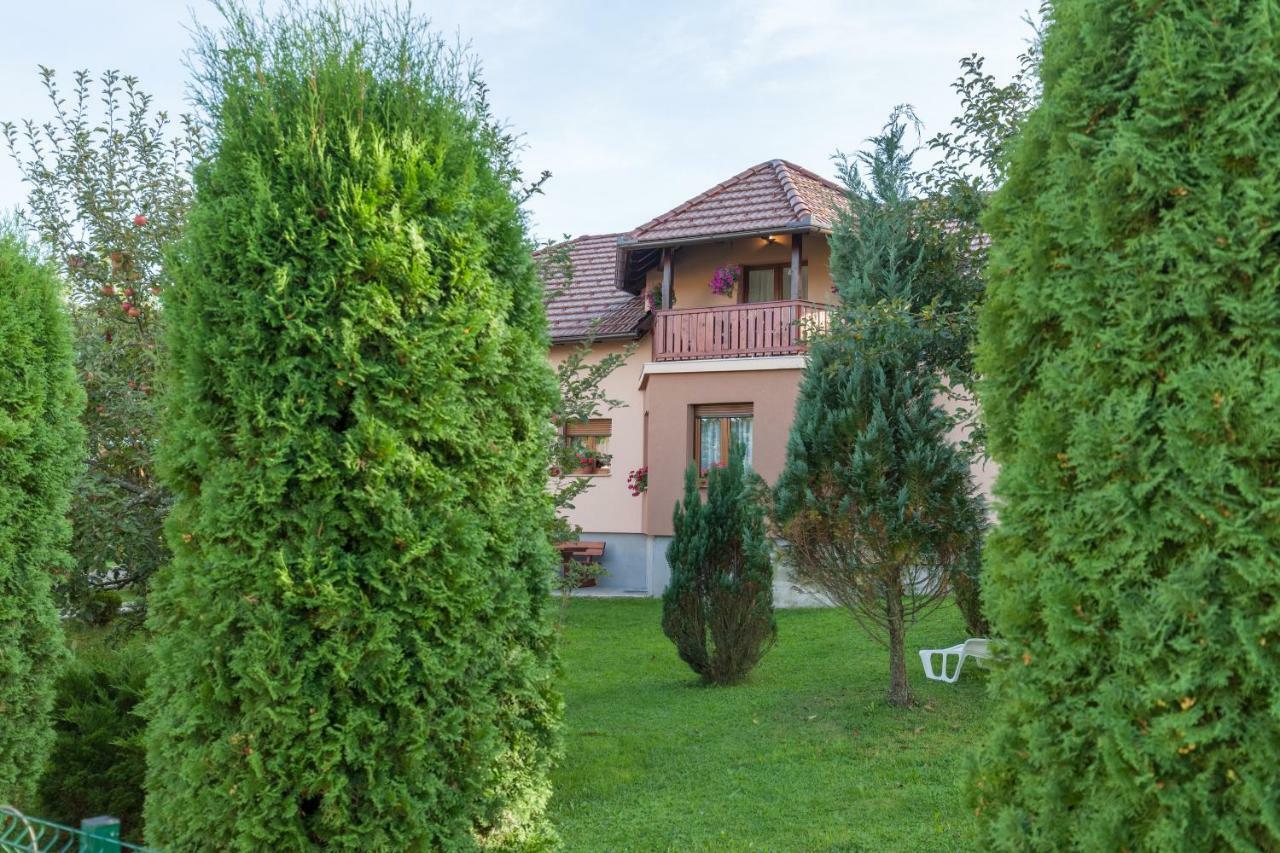 Apartment Ivan & Iva Gornji Vaganac Bagian luar foto